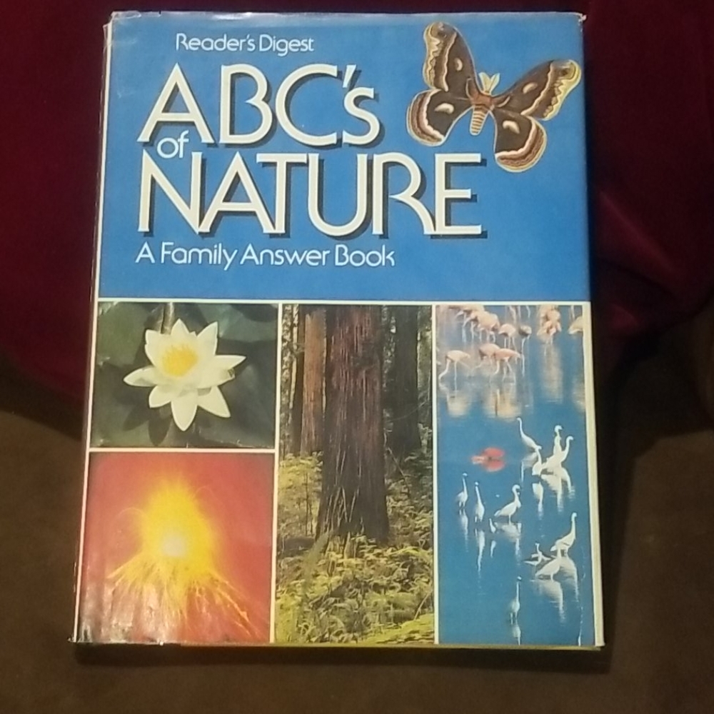 Family Answer Book